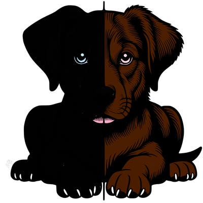 realistic dog split picture