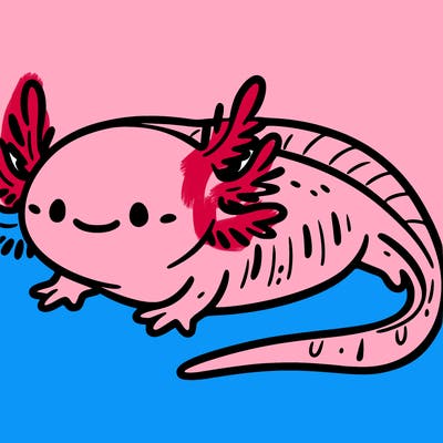axolotl