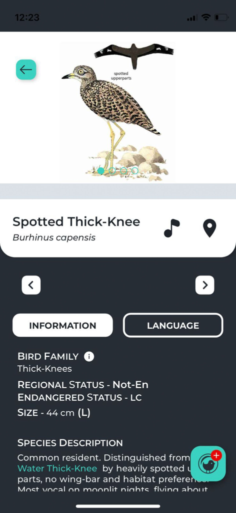 Newman’s Birds of Africa - Newmans Birds of Africaモバイルアプリの Spotted Thick-Knee の詳細な種識別ページ