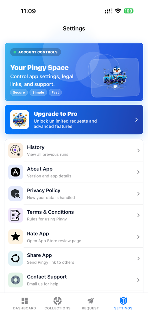 Menú de configuración de la aplicación cliente de API Pingy que muestra la actualización pro y las opciones de historial