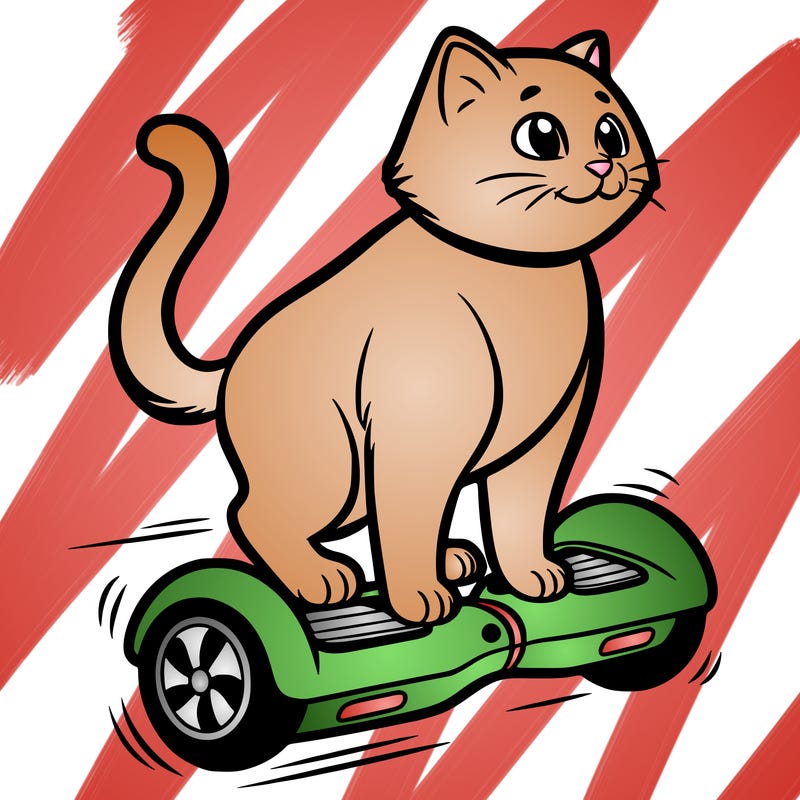 cat riding at hoverboard