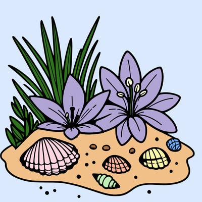 sand, lily, shells