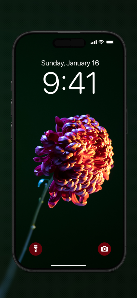 Amoled Wallpapers 4K - HD - iPhone lock screen displaying a vibrant flower against a deep black AMOLED background