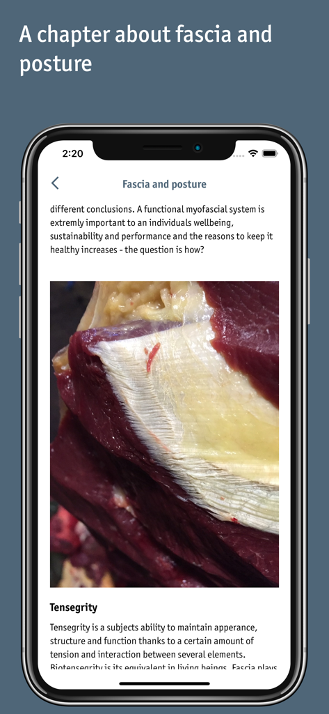 Equibodybalance - A smartphone screen from the Equibodybalance app showing a chapter about equine fascia and posture with anatomical details