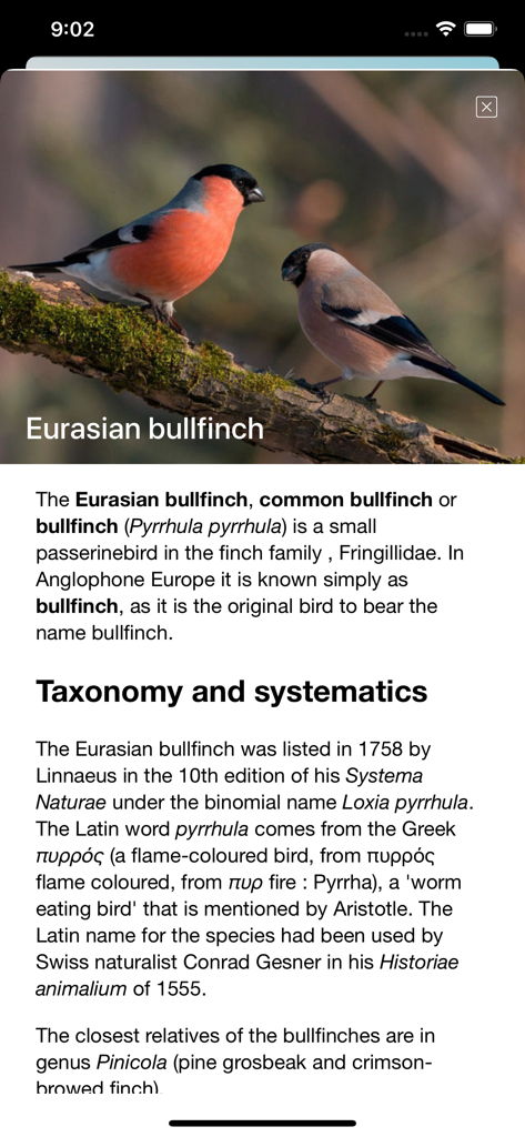 Bird Song/Photo Identification - Um perfil detalhado da espécie do Tentilhão-comum-europeu, apresentando uma foto e informações taxonômicas.