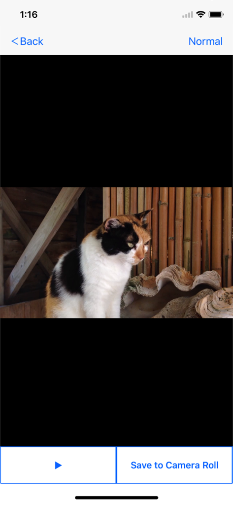 Video 2 CameraRoll  Home Video - Interface of the Video 2 CameraRoll app showing a video preview and a button to save it to the camera roll