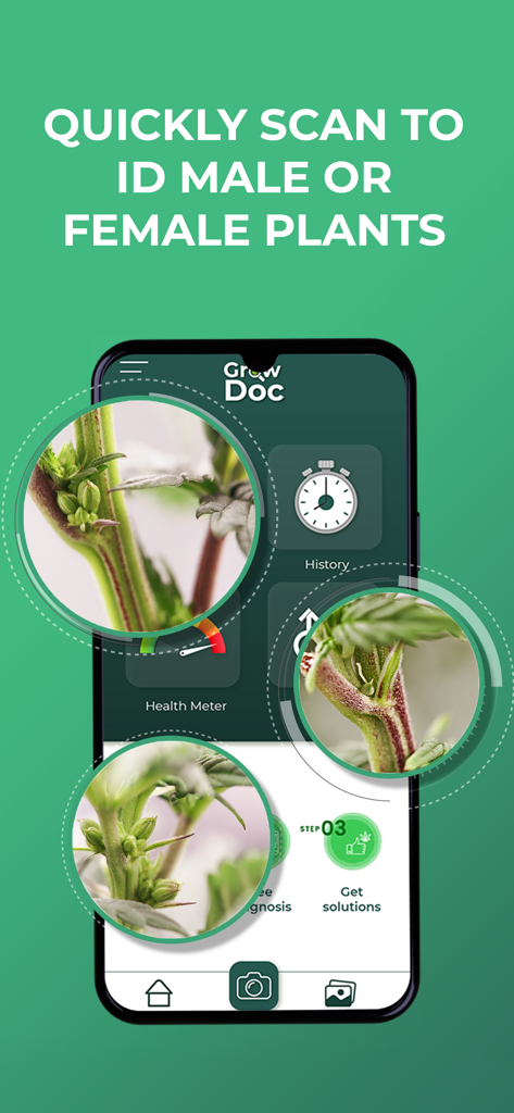 GrowDoc - GrowDoc app screen demonstrating the male or female plant identification scanner feature