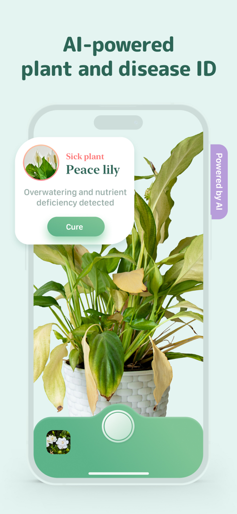 Blossom - Plant Care Guide - Interfaccia dell'app Blossom che mostra l'identificazione AI di una spathiphyllum malata con diagnosi di eccessiva irrigazione.