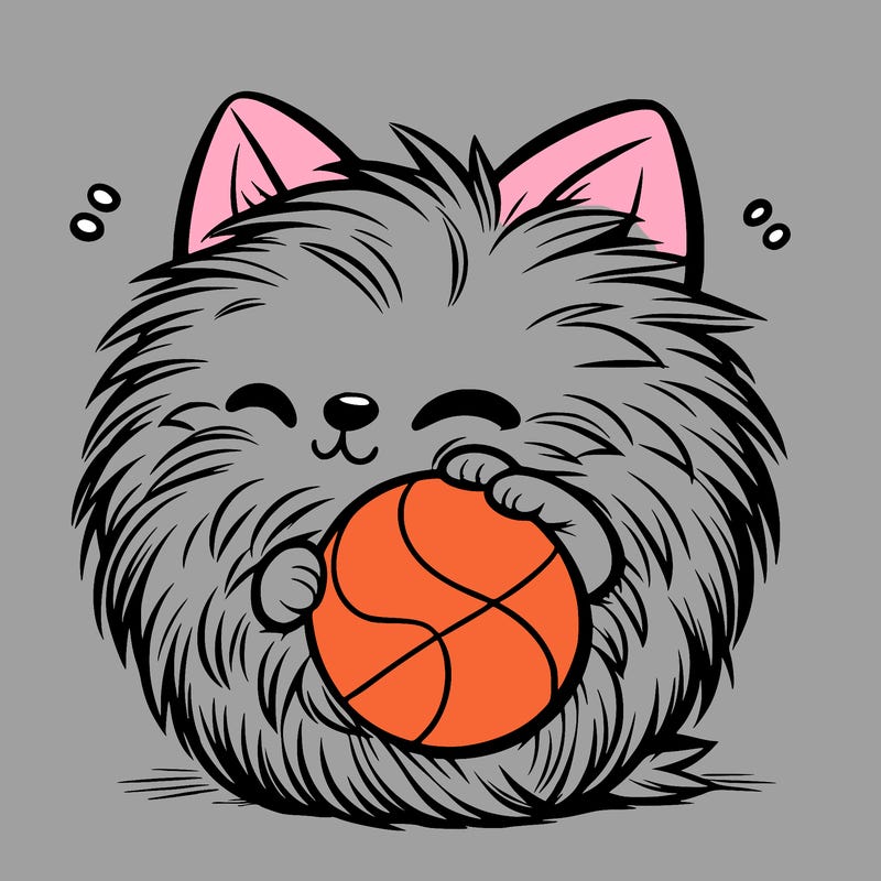 fur ball