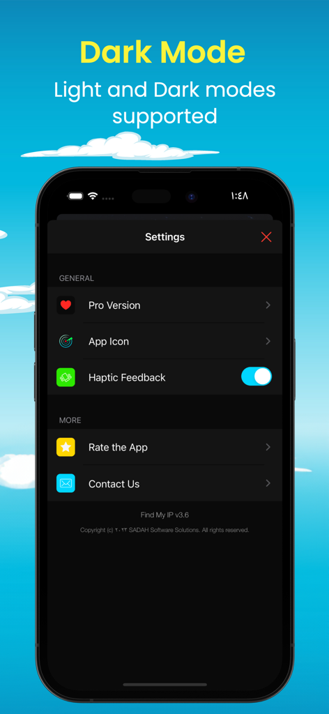 L'écran des paramètres de l'application Find My IP affiche la prise en charge du mode sombre et les options de configuration telles que le retour haptique.