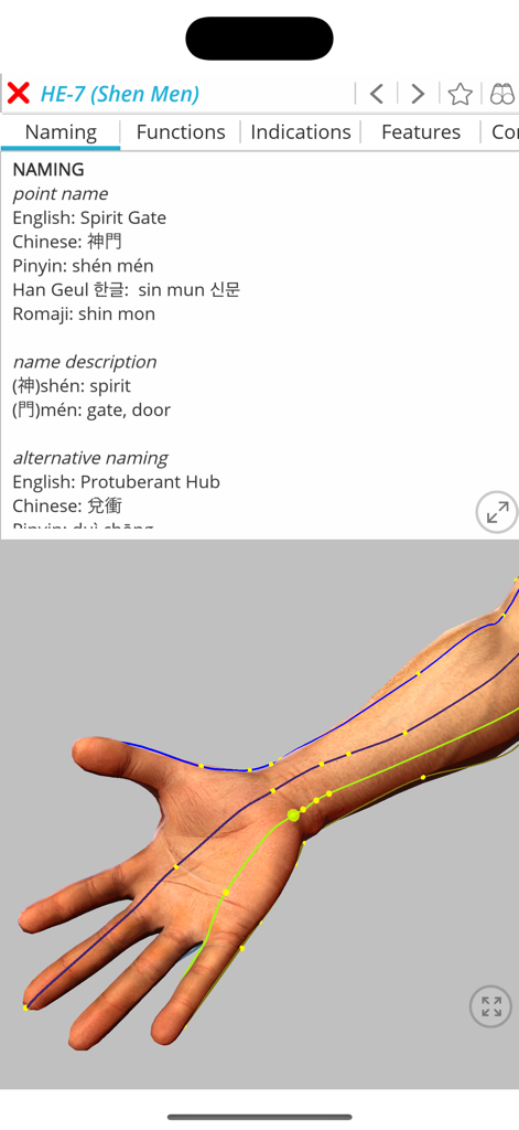 Visual Acupuncture 3D - Detailed view of acupuncture point HE-7 Shen Men with naming information and 3D hand model visualization