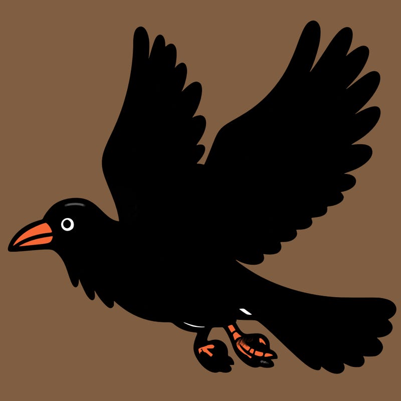 a flying crow
