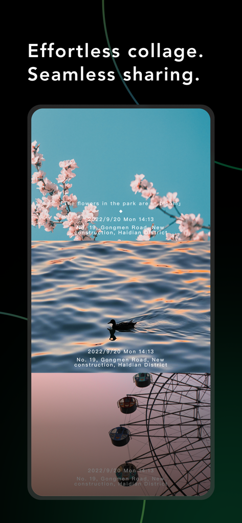 A vertical photo collage in the WeCamera app featuring blossoms a duck on water and a ferris wheel with automatic date and location stamps