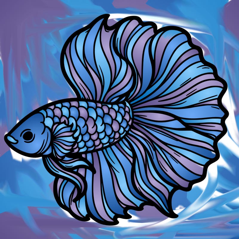 betta fish