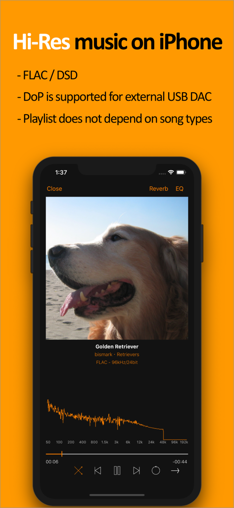 scylla - Hi-Res Music Player - ScyllaハイレゾミュージックプレイヤーアプリのiPhoneインターフェース。FLACとDSD再生機能を表示。