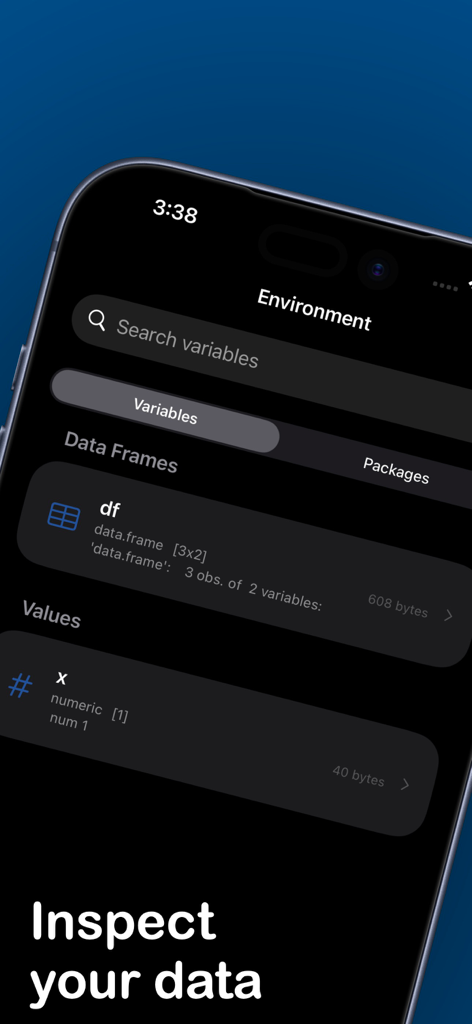Interface of the webRios app showing the environment inspector with data frames and variables