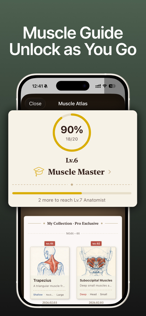 MuChills: Daily Stretch Log - Interfaz de la aplicación MuChills que muestra la colección de educación muscular y el progreso del nivel