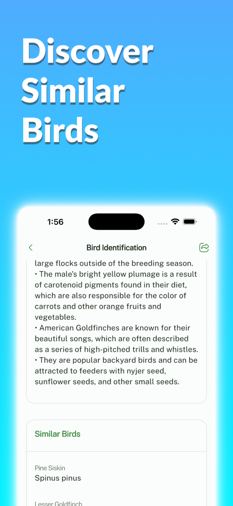 A mobile app screen showing detailed bird information and a list of similar species for identification.