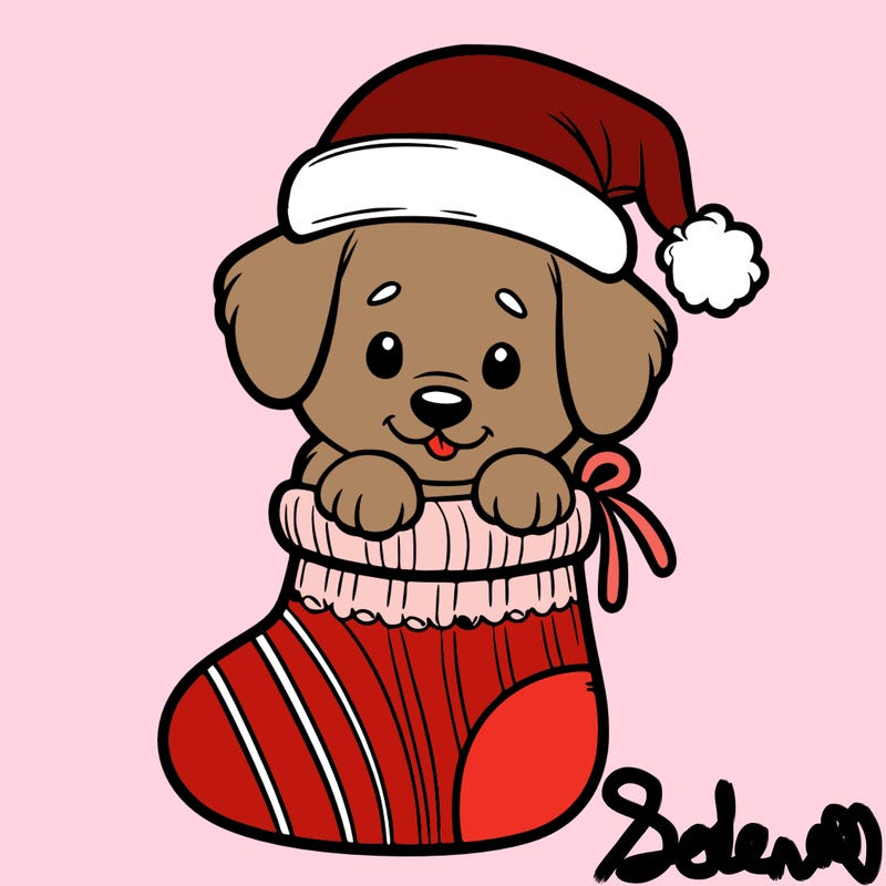 cute puppy wearing santa hat in socking