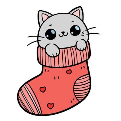 cute cat in a sock