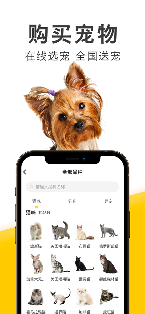 有只宠物-宠物市场买猫买狗卖猫卖狗宠物交易平台 - A mobile app screen showing various cat breeds available for selection in the Youzhi Chongwu pet marketplace