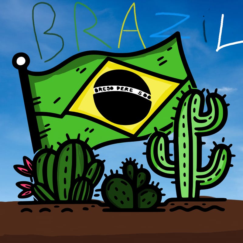 brazilian flag