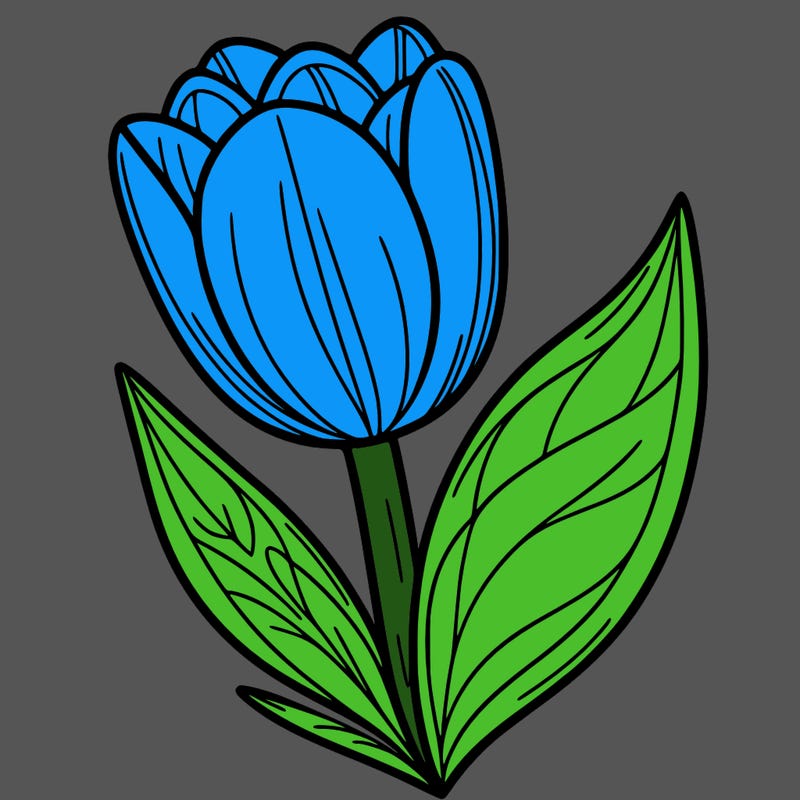 tulip