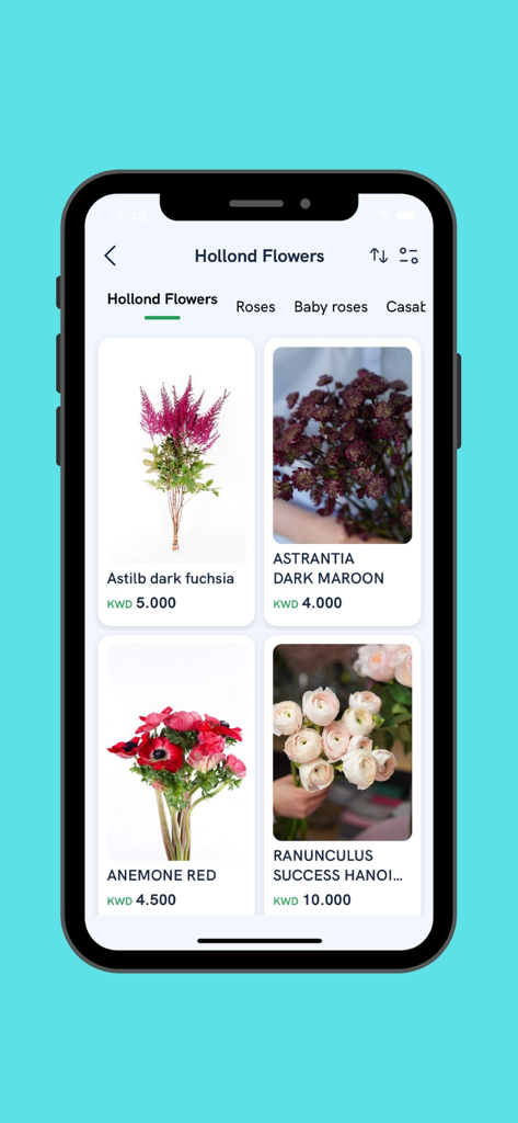 Tahani Flowers - زهور التهاني - Mobile app interface displaying a flower catalog with sections for Holland flowers and roses