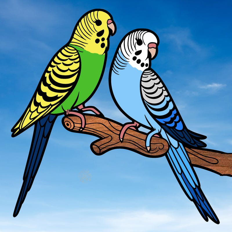 parakeets