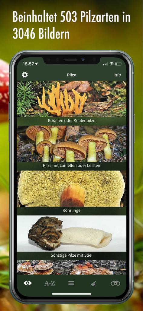 Mobile Benutzeroberfläche der Pilzführer-App, die verschiedene Artenkategorien anzeigt