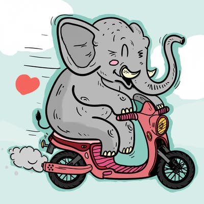 animals_21