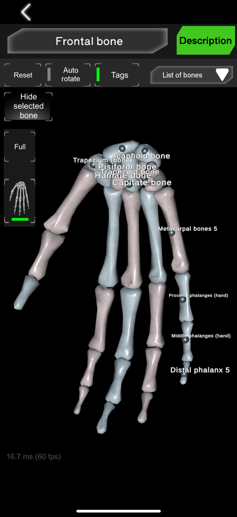 Bones 3D (Anatomy) - Education App | MWM