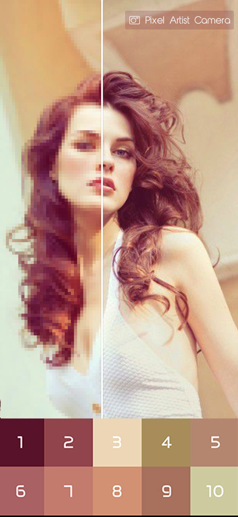 Split screen view showing a photo of a woman being converted into a pixel art pattern with color by number options below