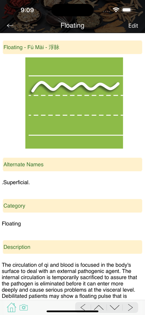 TCM Clinic Aid app interface showing floating pulse diagnosis with wave diagram and pinyin