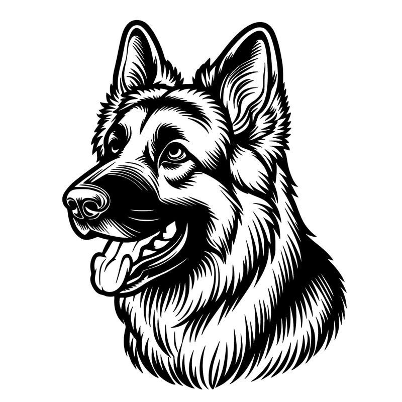 german shepherd dog