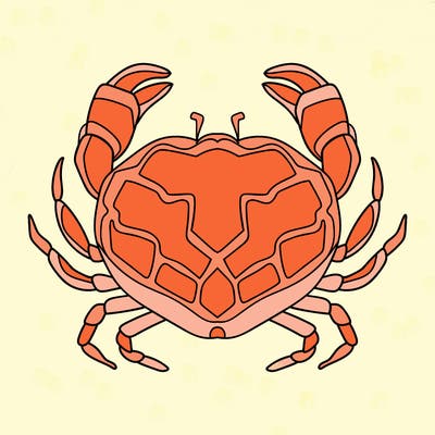 animals_16