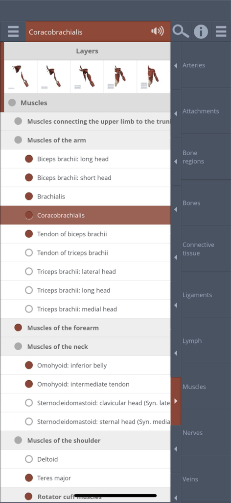 Primal's 3D Shoulder - Interface showing anatomical layers and a detailed list of shoulder muscles in the 3D anatomy app