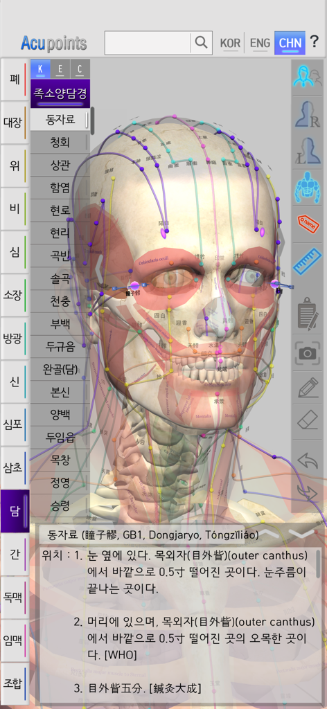 3D anatomical model of a human head showing acupuncture points and meridian lines with descriptive text in the Acupoints app