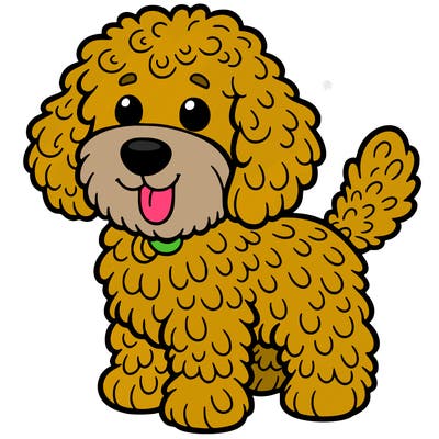 goldendoodle