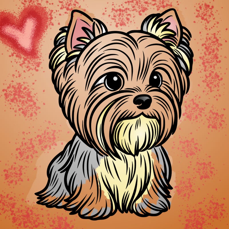 yorkshaire terrier chien