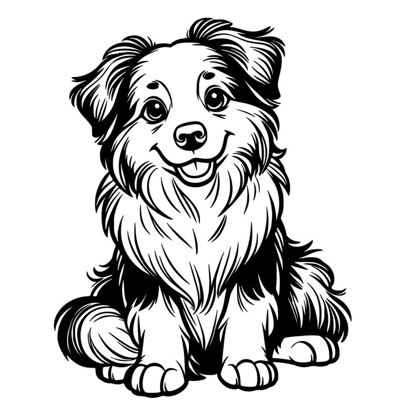 australian shepherd