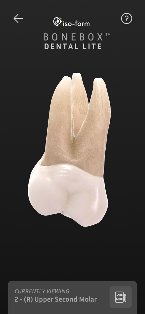 BoneBox™ - Dental Lite - A realistic 3D anatomical model of a human upper second molar displayed within the BoneBox Dental Lite mobile app