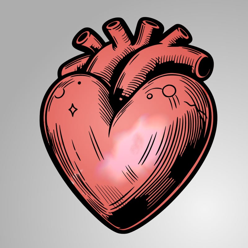 realistic heart