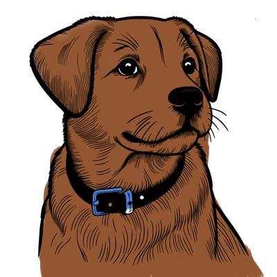 dog realistic