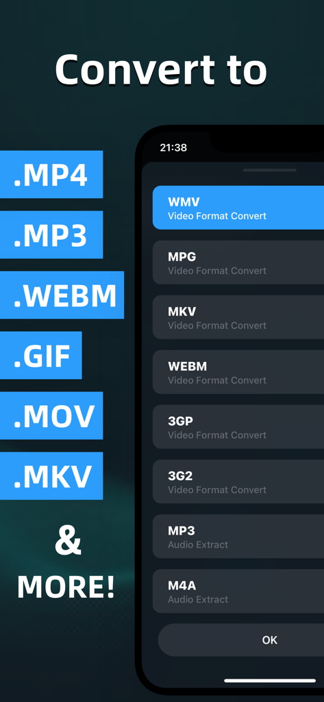 Interface do aplicativo Video Converter Pro mostrando uma lista de formatos de vídeo e áudio suportados como MP4, MP3 e GIF