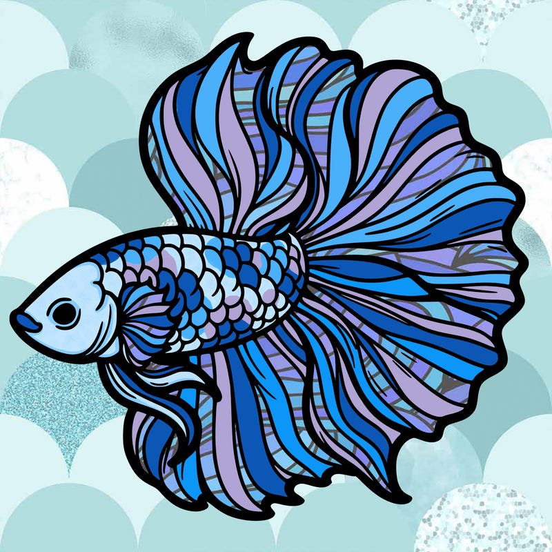 betta fish