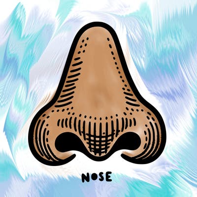 nose