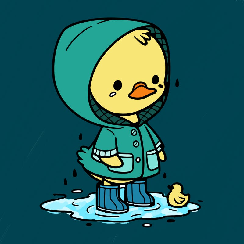 baby duck in a rain coat and boots, in a puddle while it’s raining