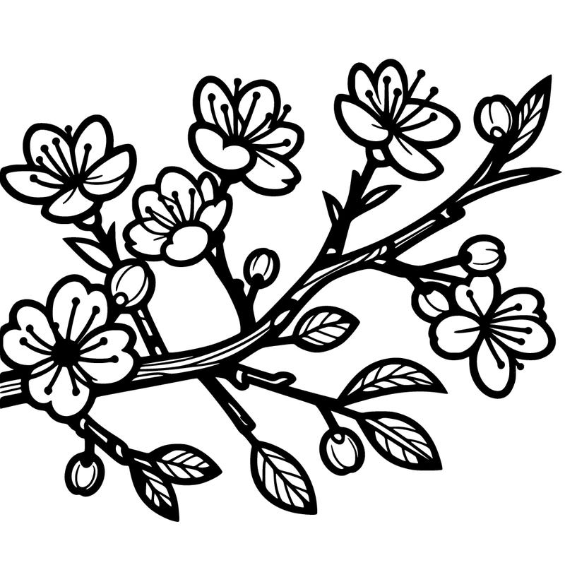 cherry blossom tree branch