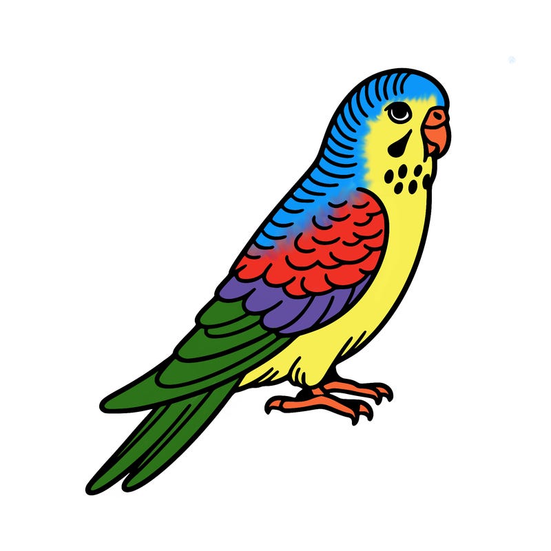 parakeet